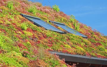 Christleton living roof systems